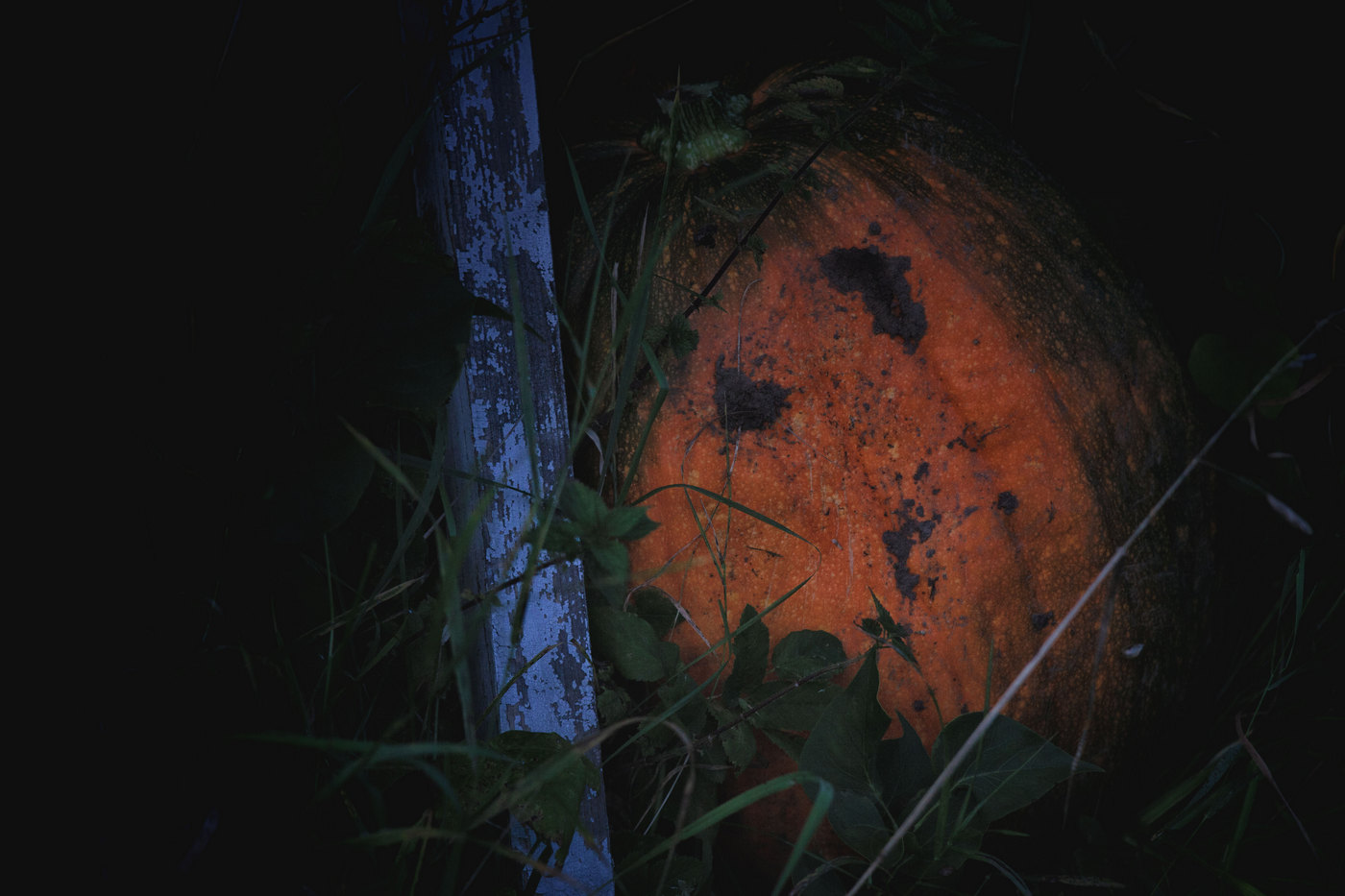 Жизнь вокруг