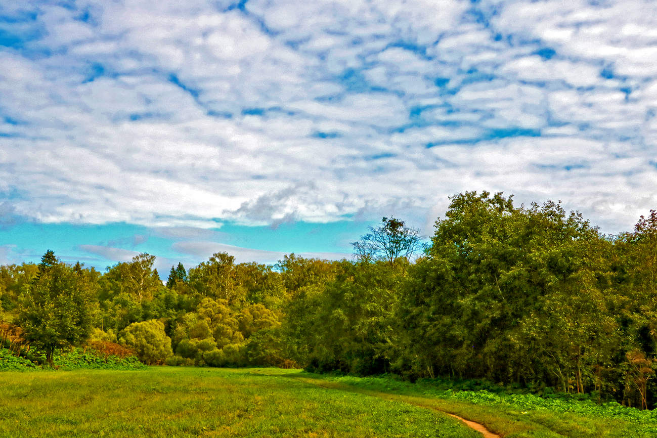 Пейзаж сентября