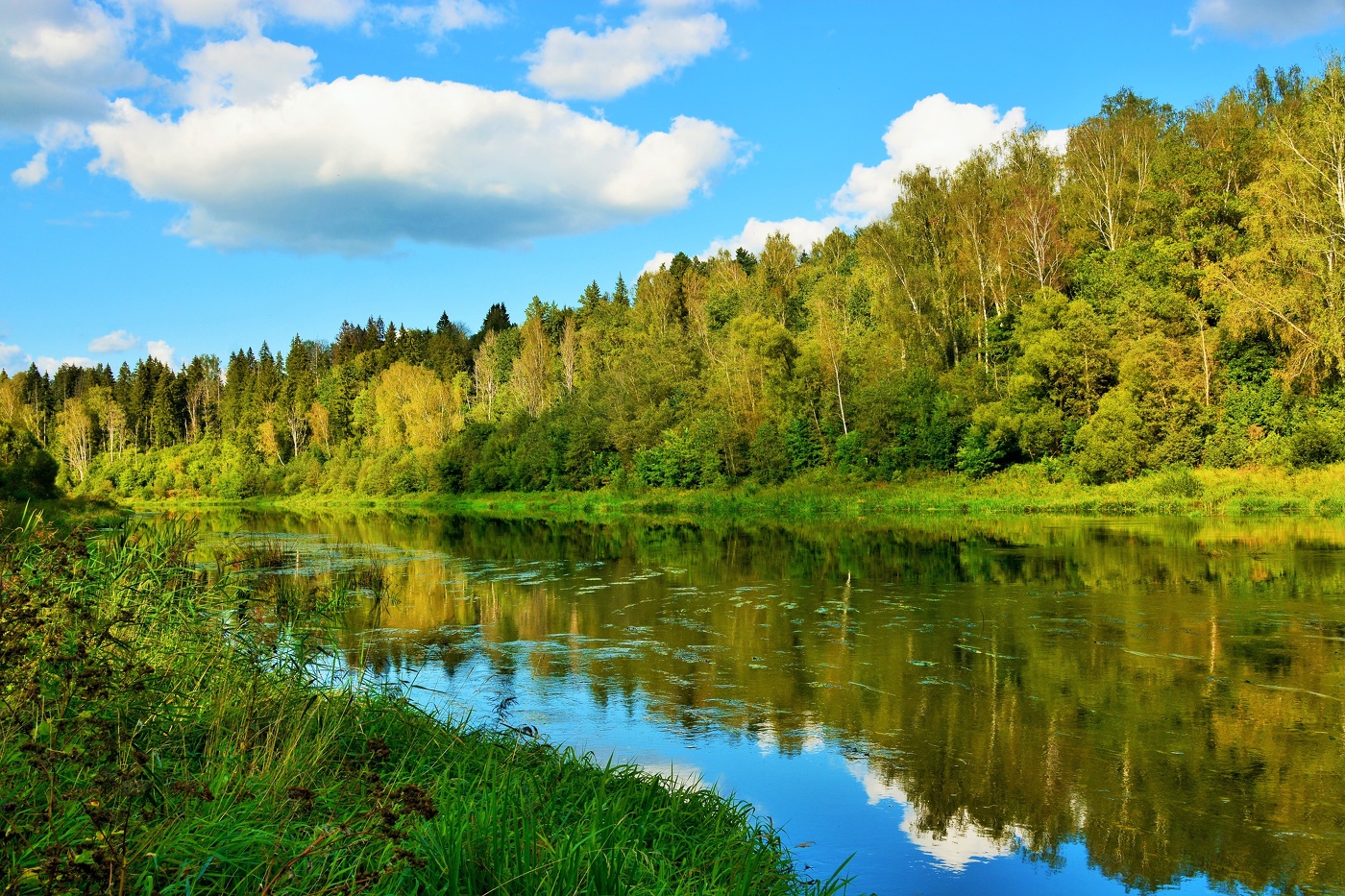 Сентябрь ...