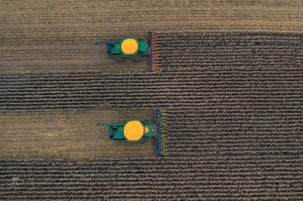 Уборка кукурузы