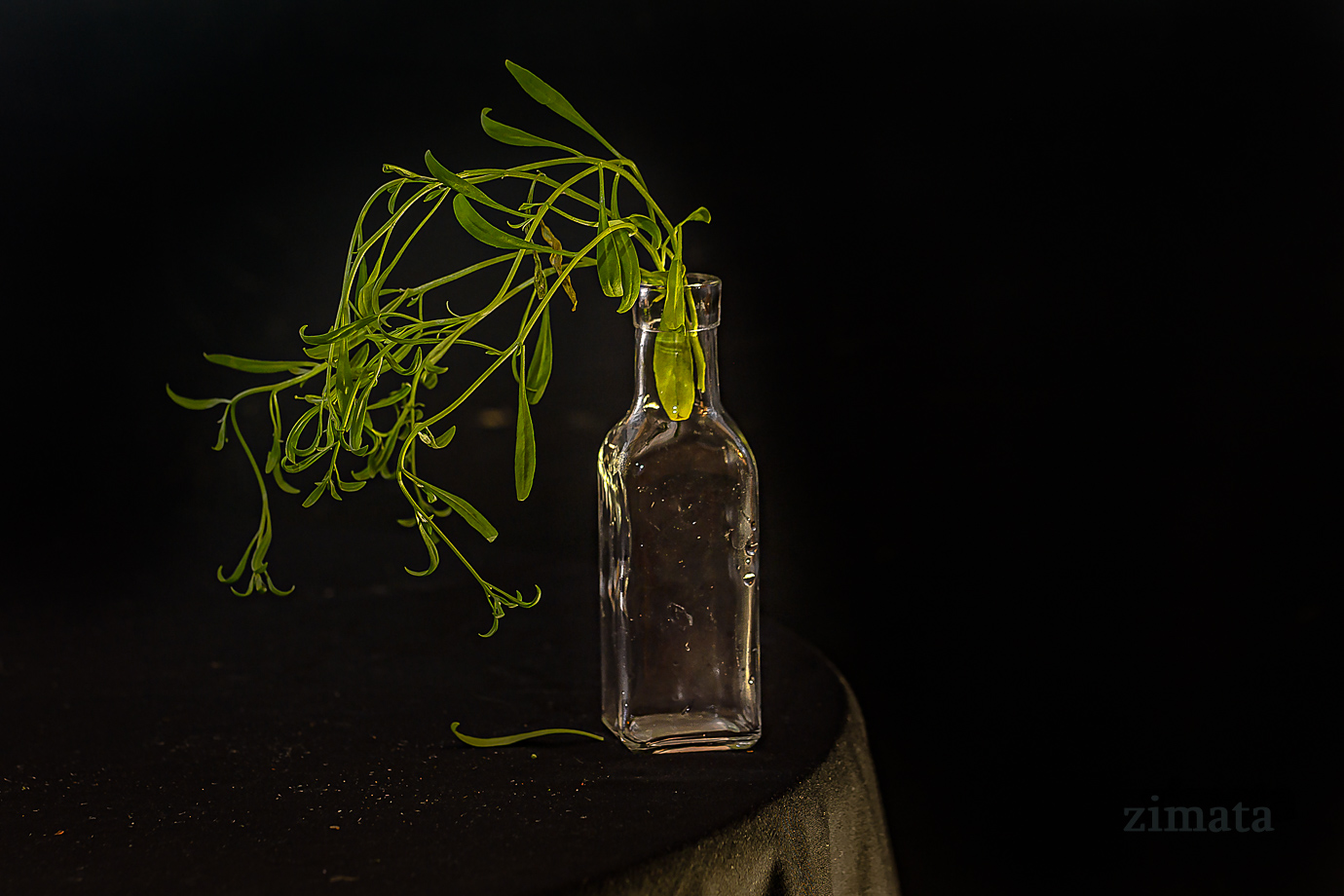 на черном фоне