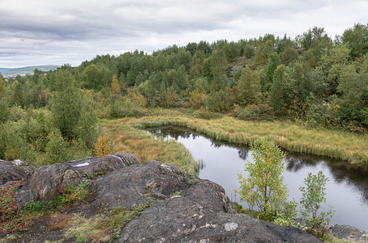 осенние нотки