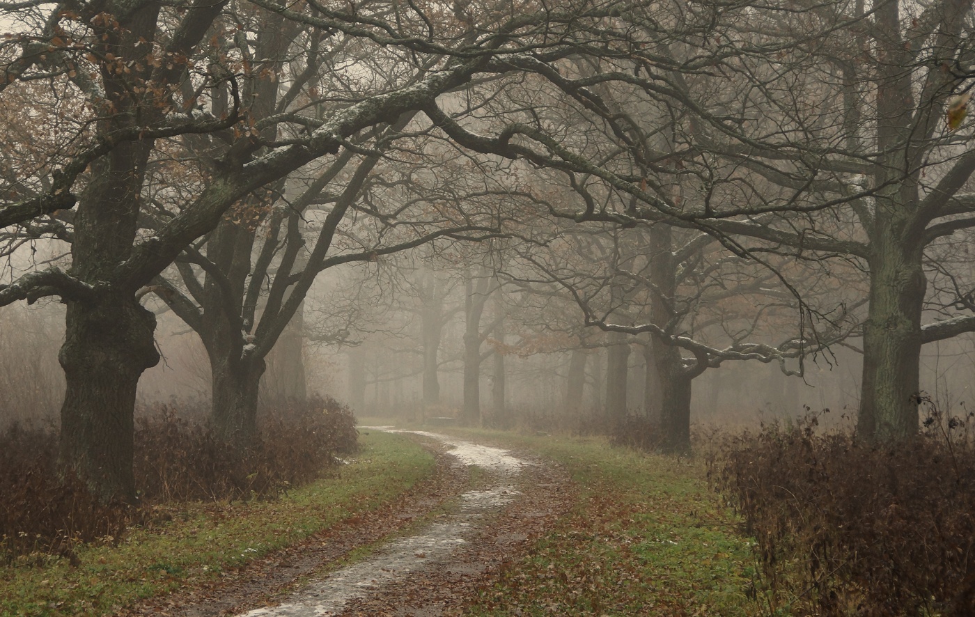 Утро в октябре