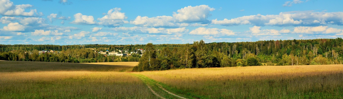 Дорога домой ...