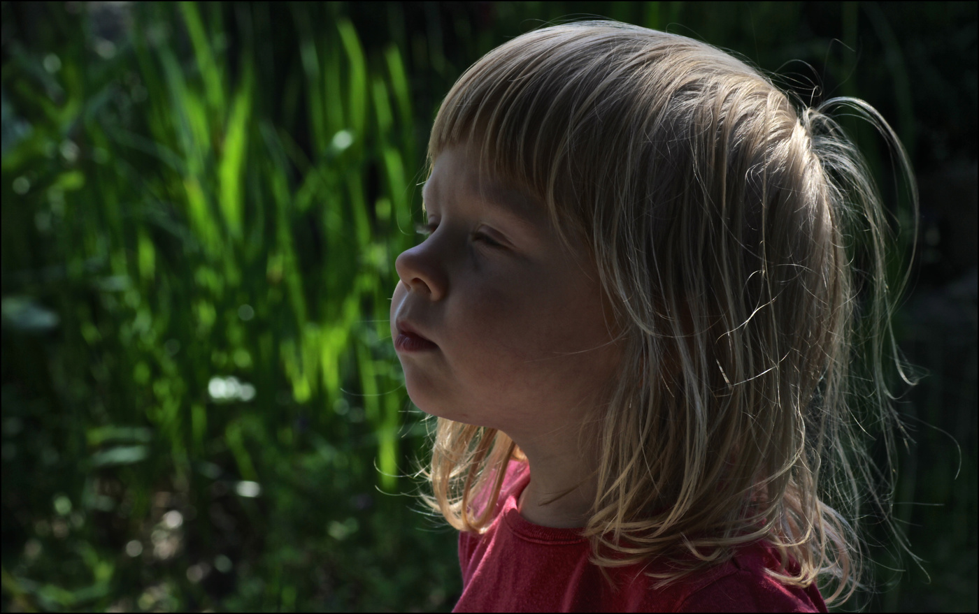 И что же там?!