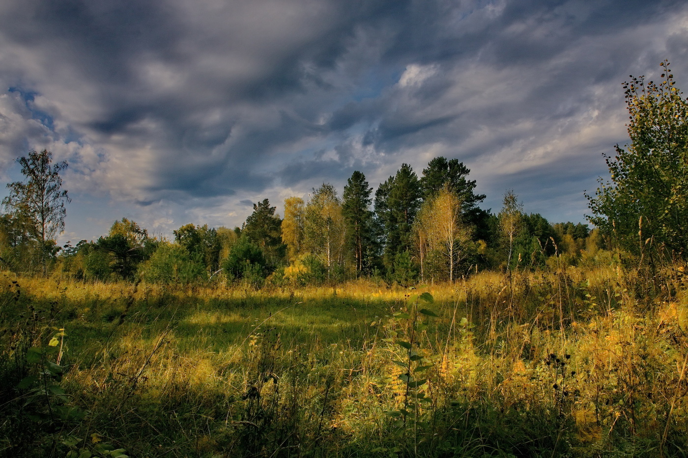 **Сентябрьским днём.*