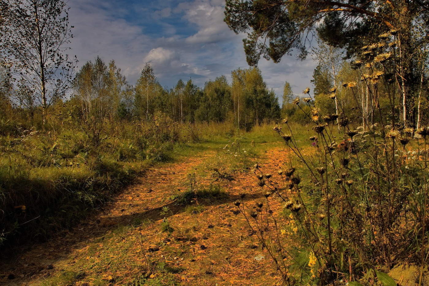 **Солнечный сентябрь.*