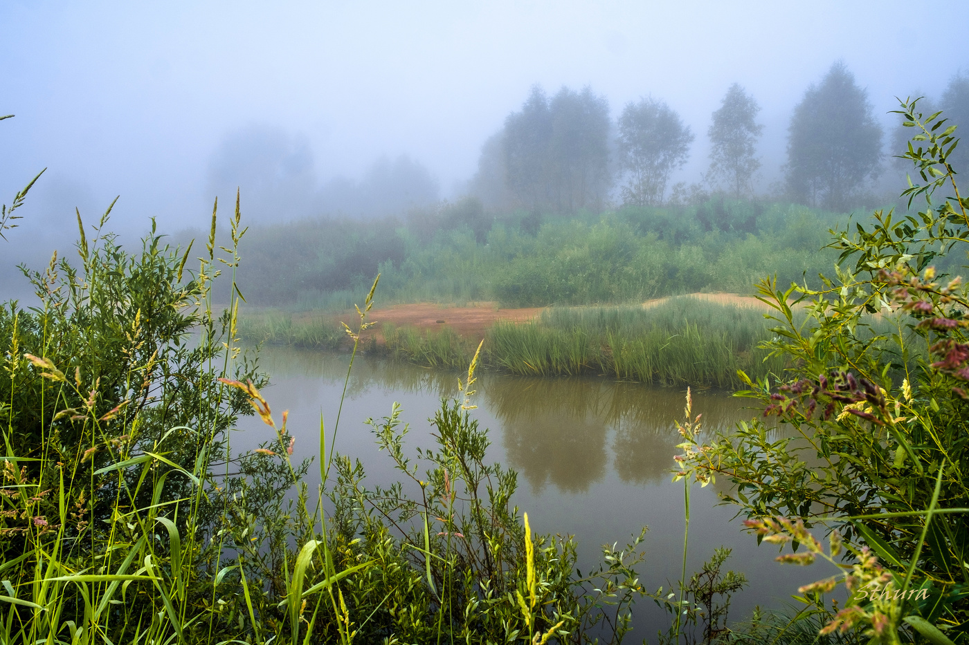 Летние туманы.