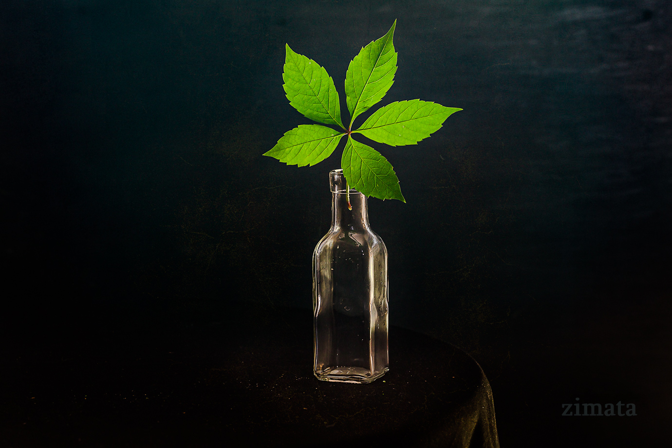 на черном фоне-2