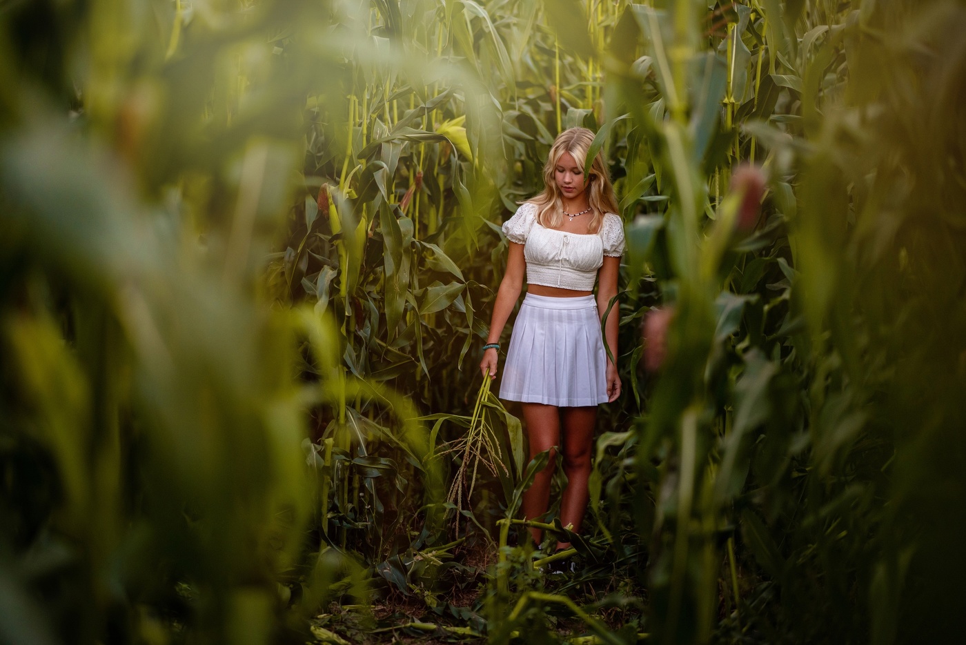 Вероника в кукурузе