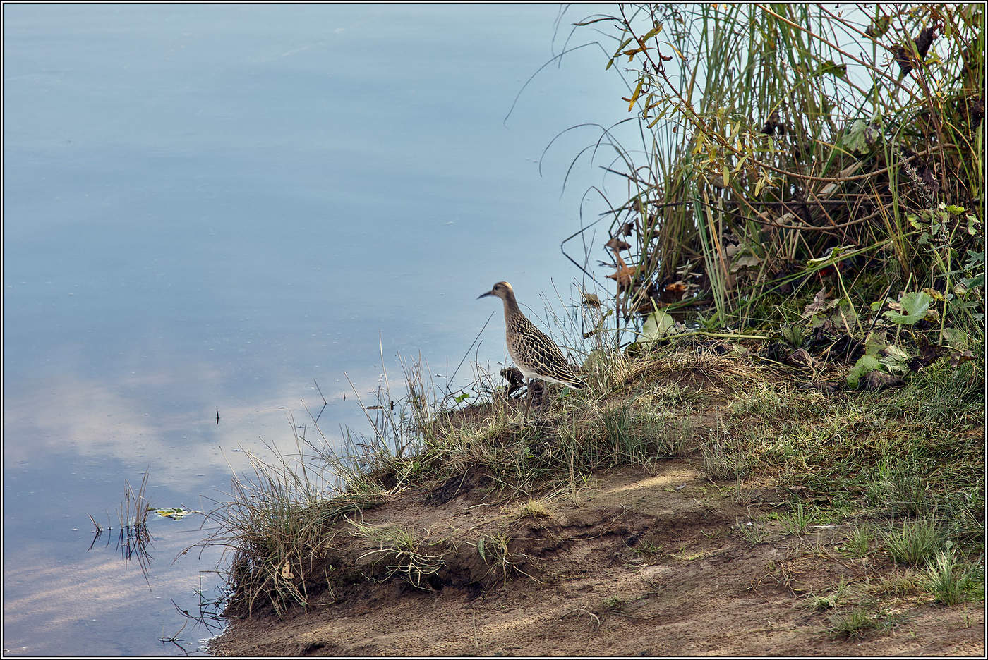 Когда небо сливается с водой.