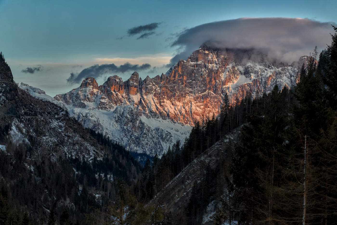 Чиветта перед сном.