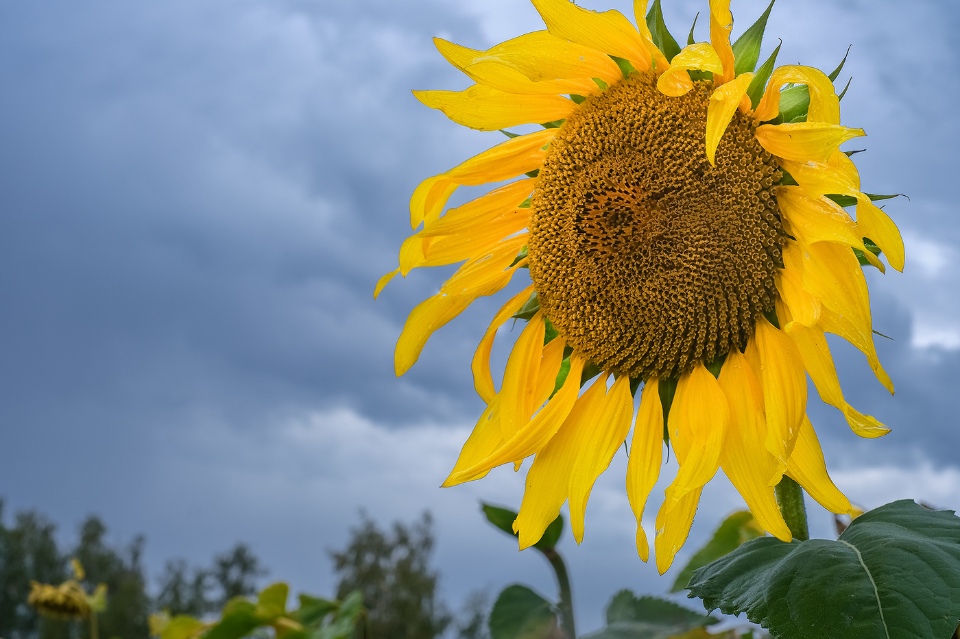 Про сентябрь...