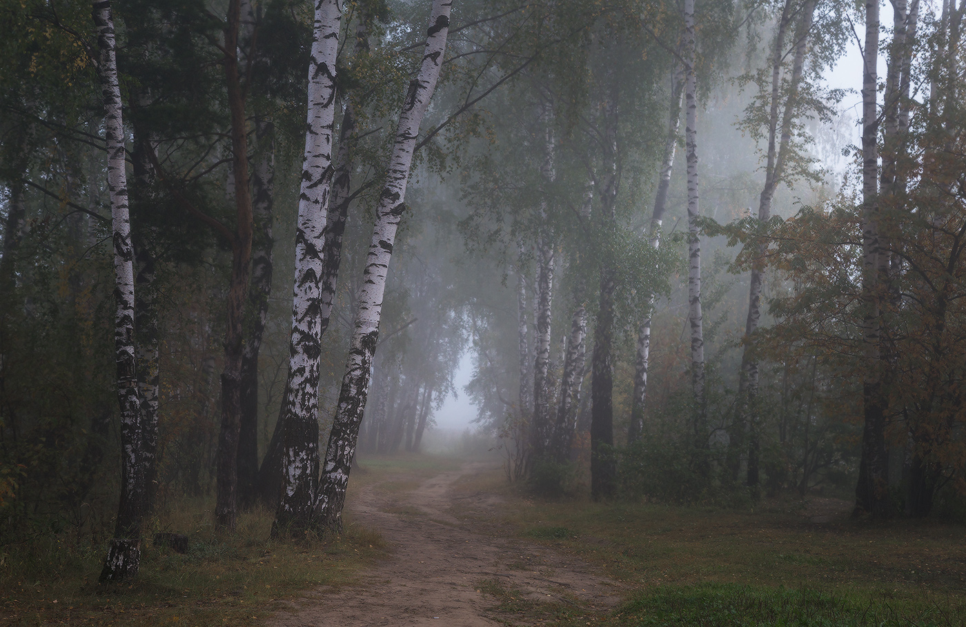 В густом тумане