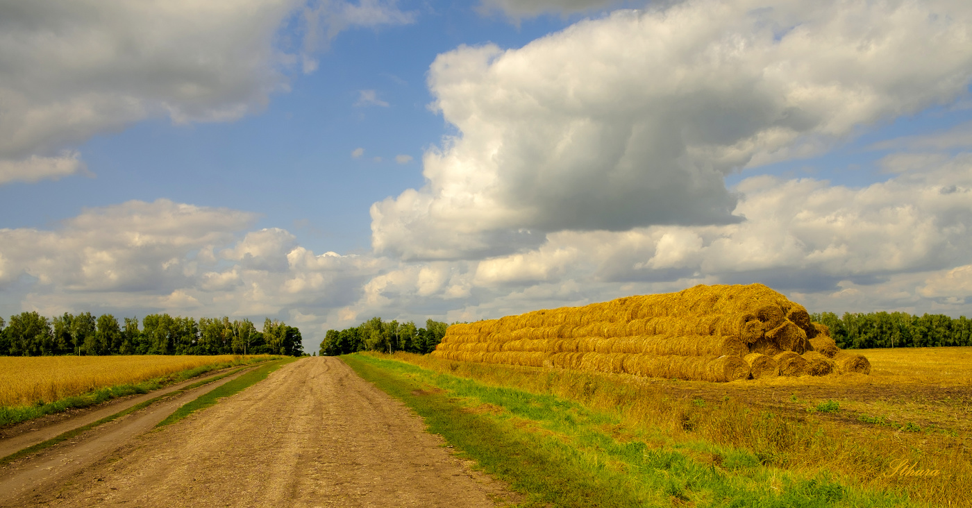 Конец лета.