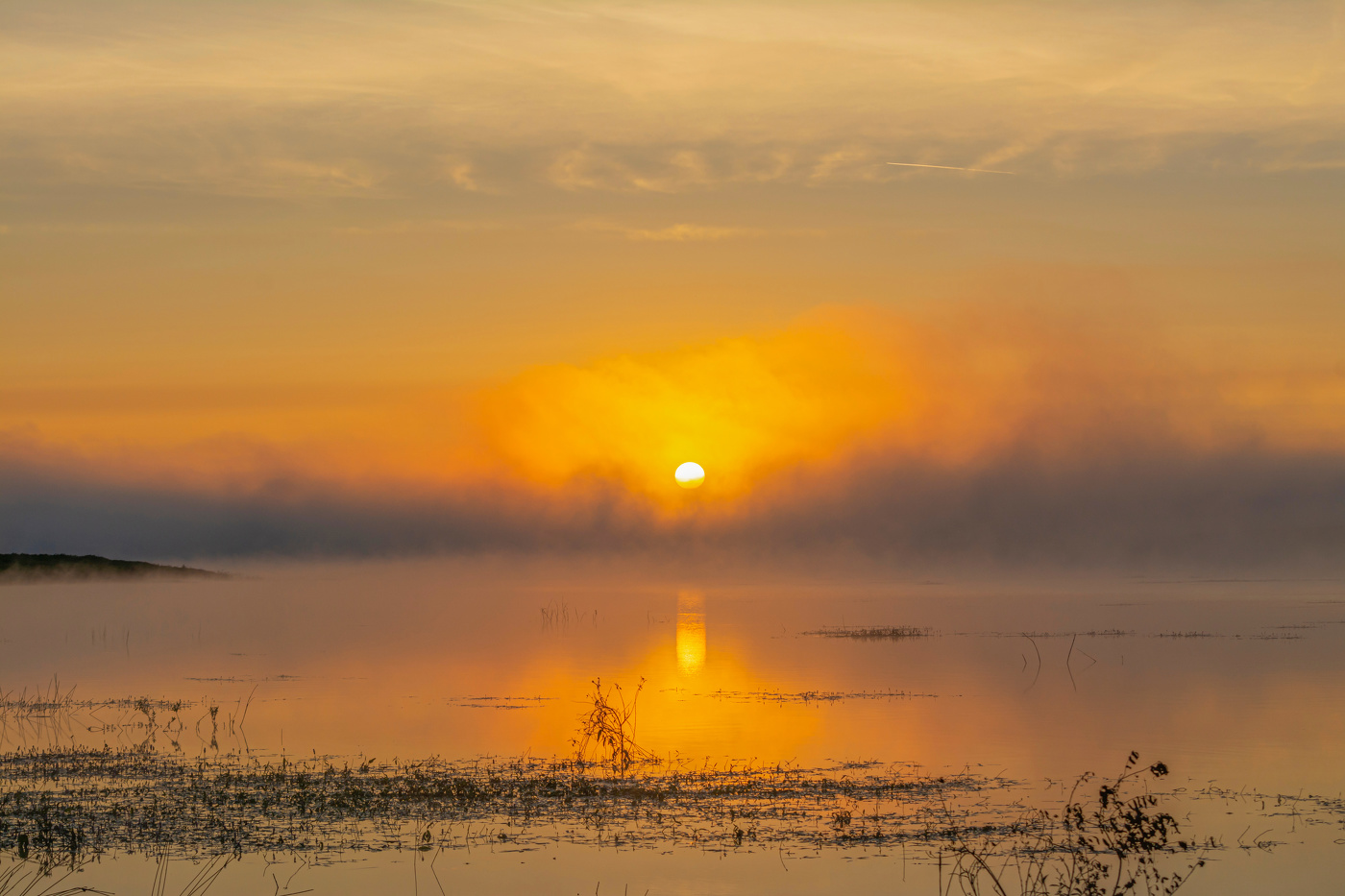 золотой туман