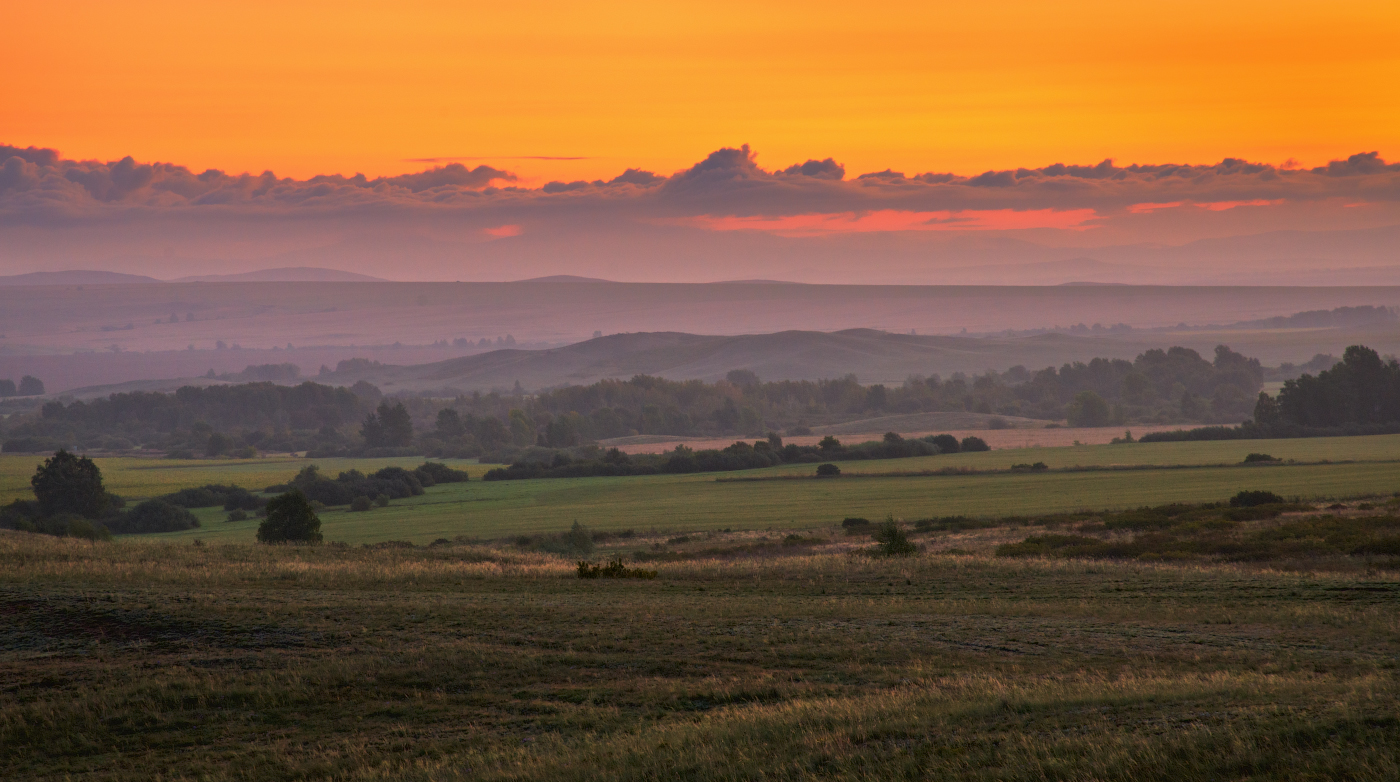 Предрассветная