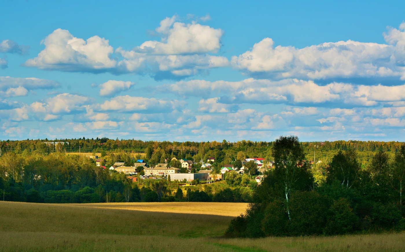 "Как мимолетна тень осенних ранних дней..."
