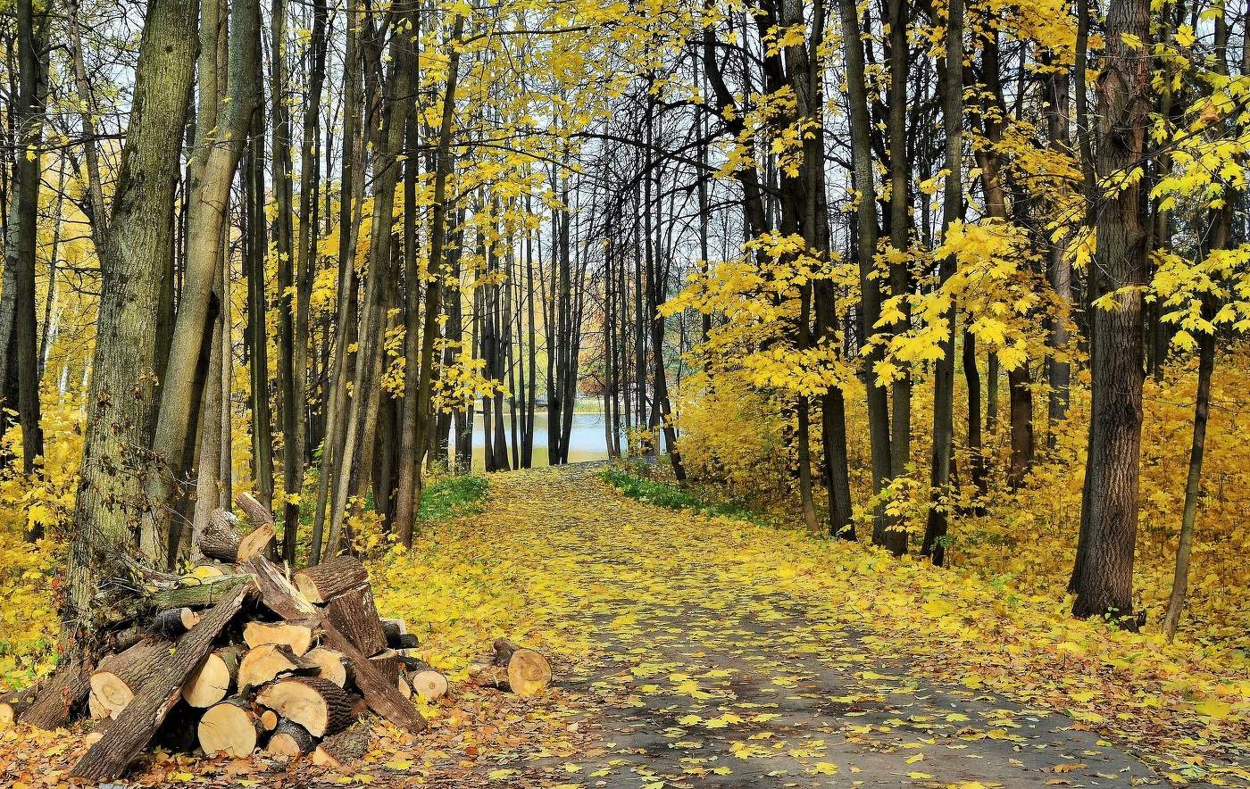 Дорога к озеру ...