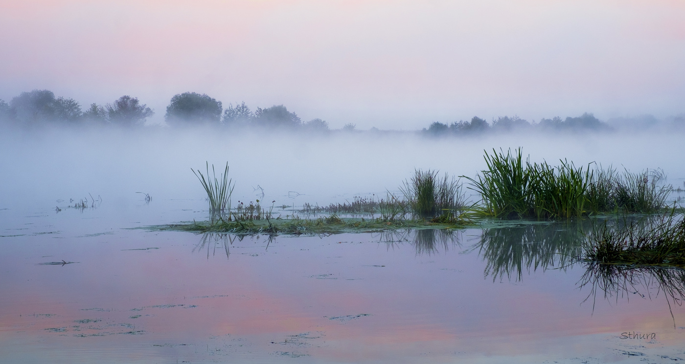 Осеннее утро.