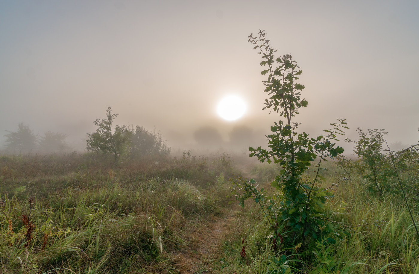 тишина осени