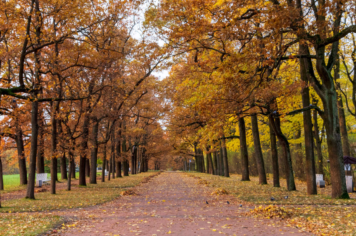 Екатерининский парк осенним розовым утром.
