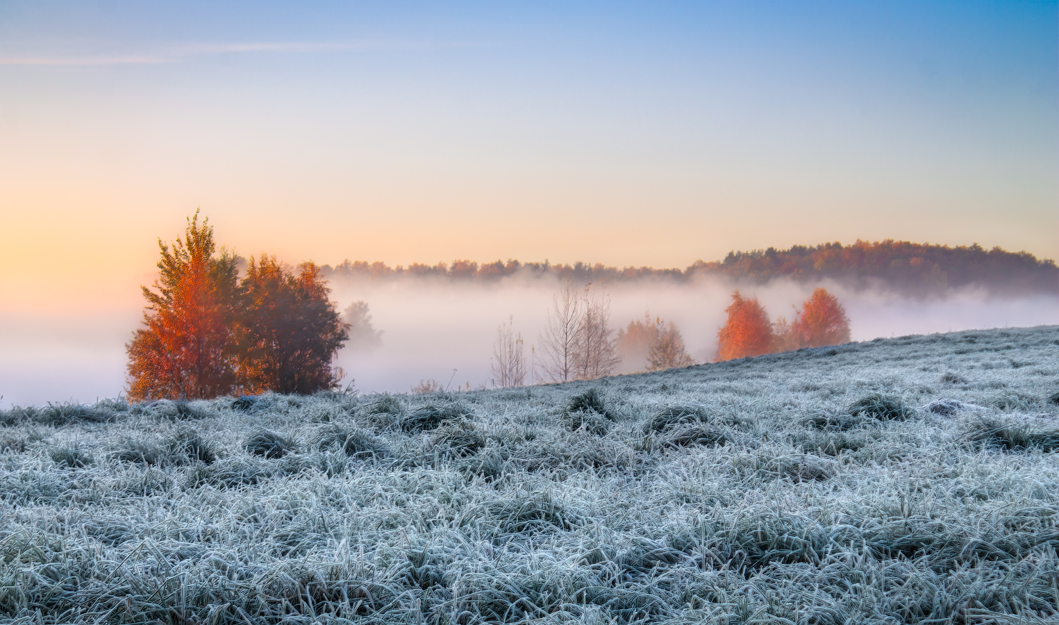Осеннее утро