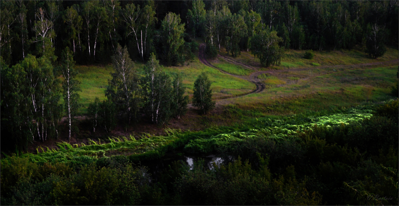 Когда цветёт хмель...