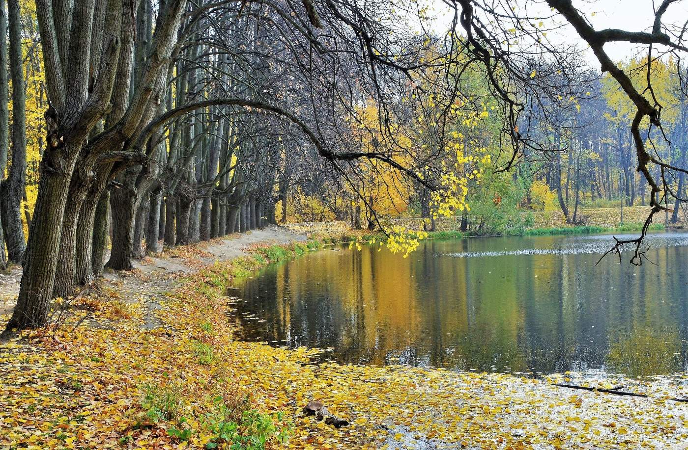 "Все заметней в природе печальной выраженье любви и родства..."