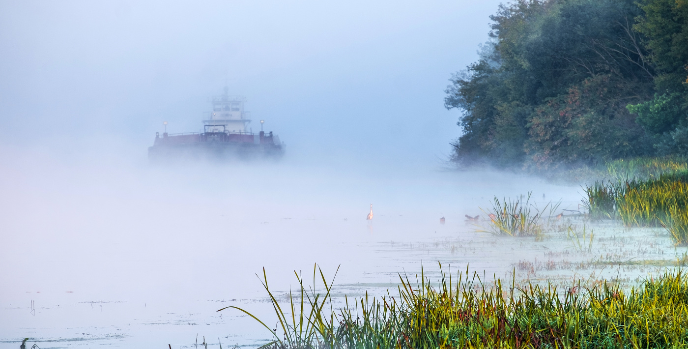 Буксир в тумане.