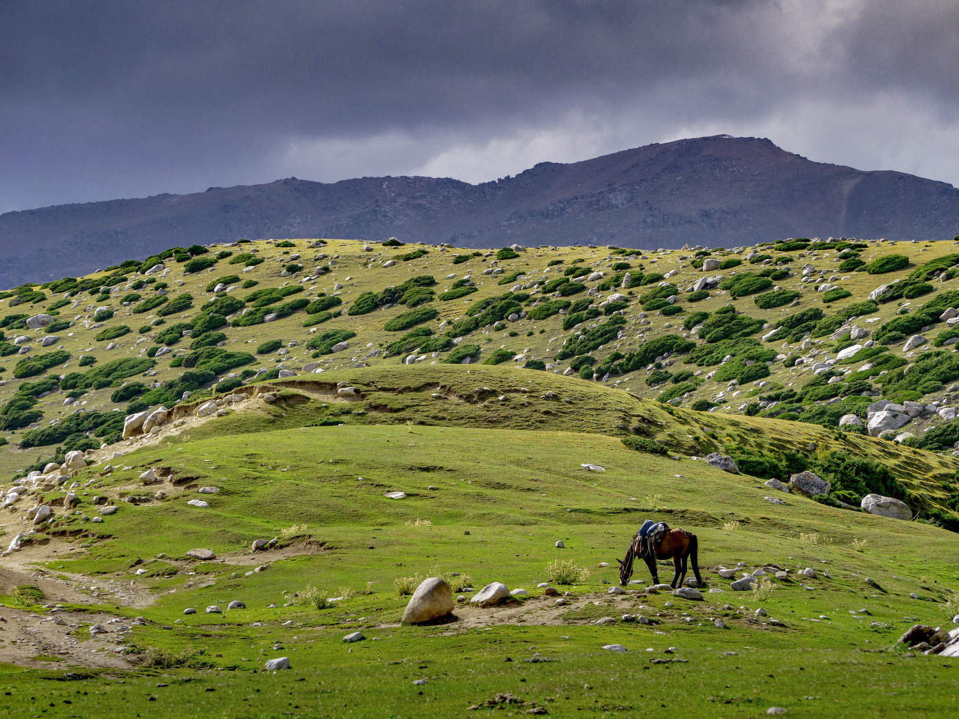 Надвигается гроза
