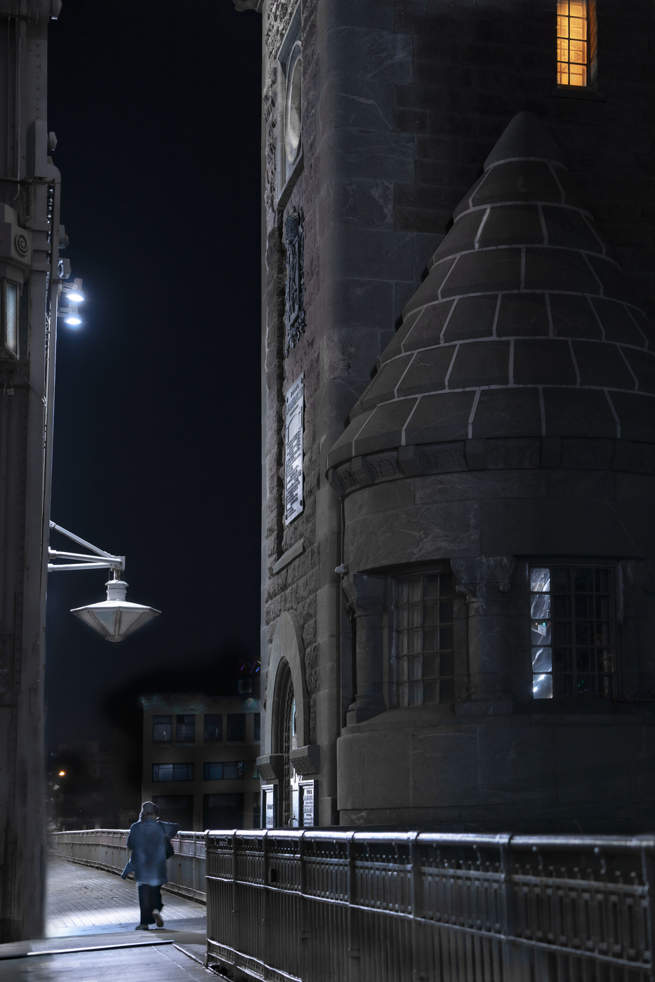 Большеохтинский мост. Вечер.