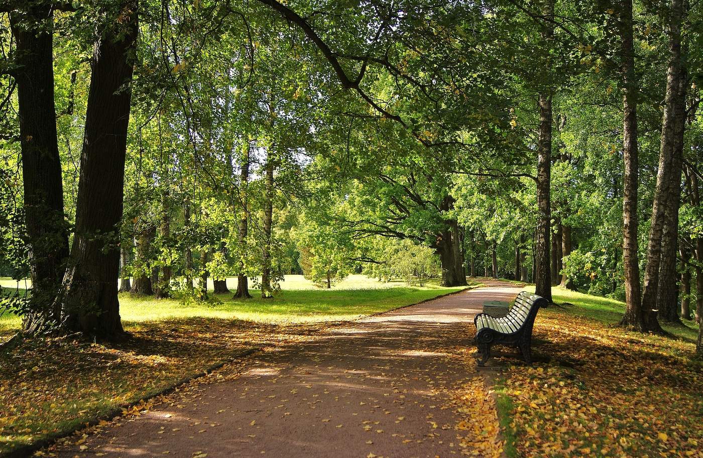 яркая Осень