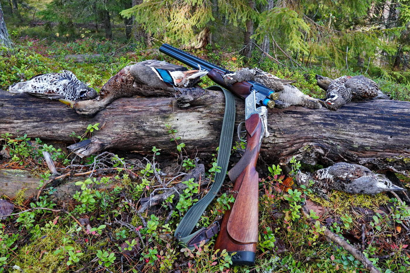 Лесное ассорти.