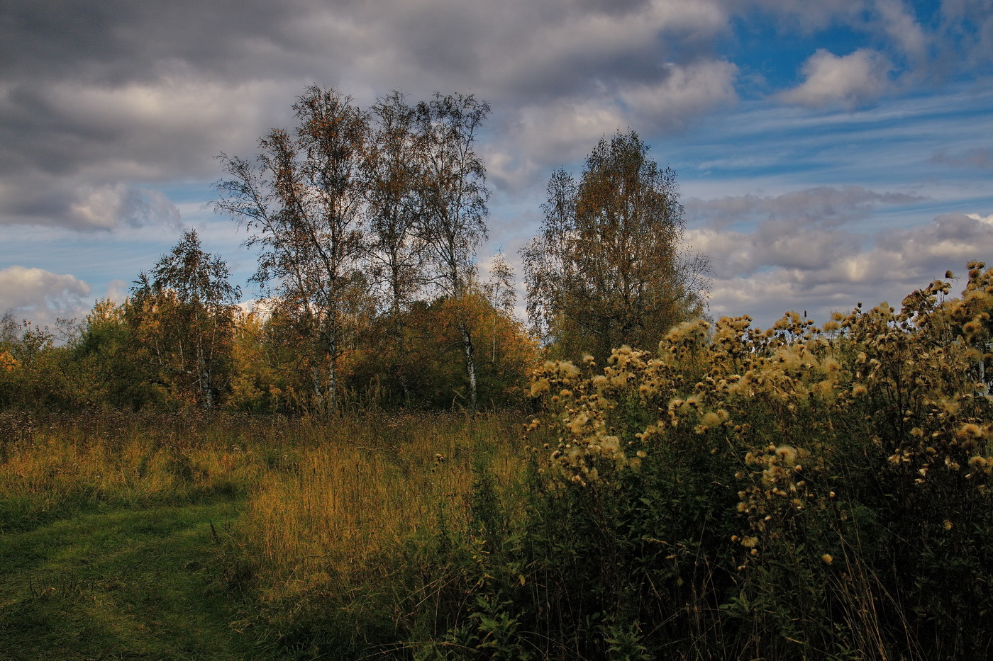Осенним днём.