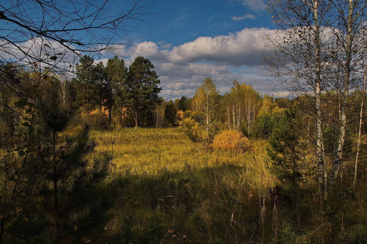 **Сентябрь.*