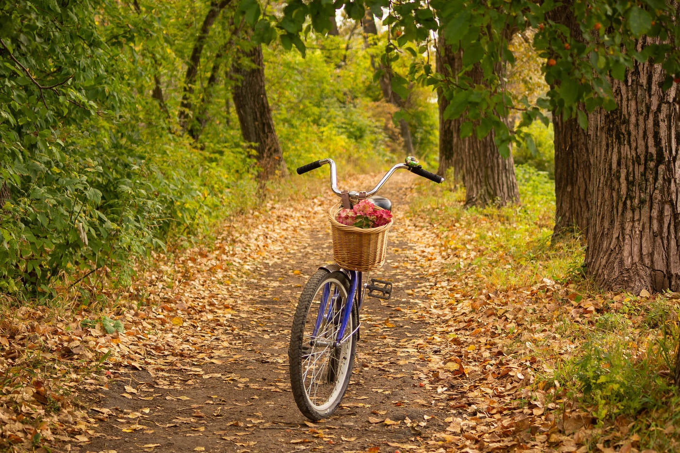 Маршруты осени