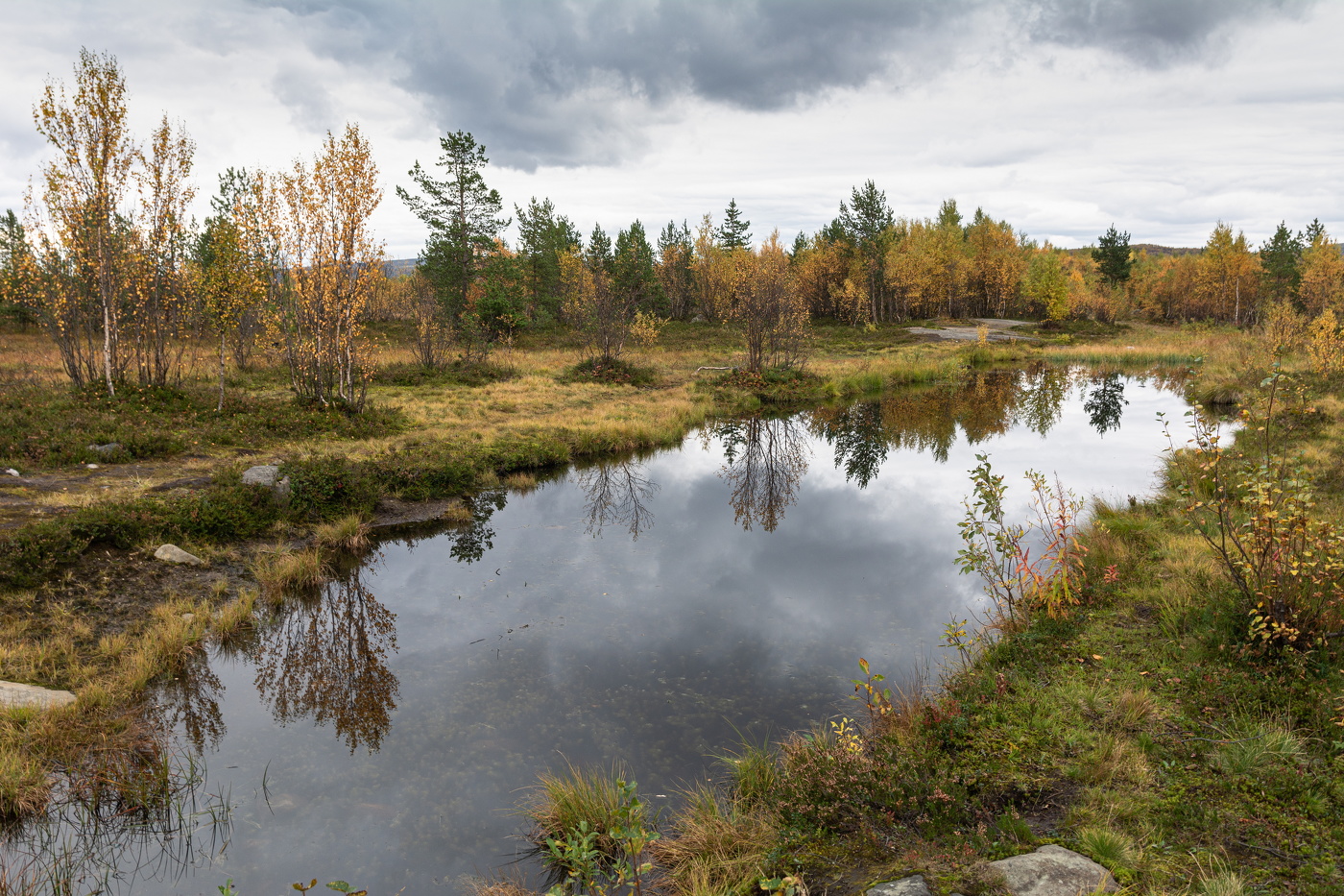 "уж небо осенью дышало"