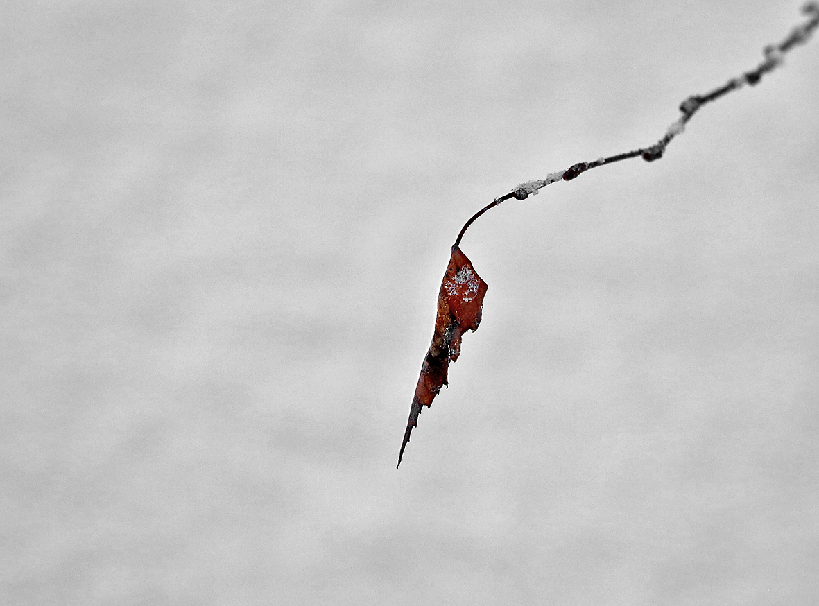 Одиночество...