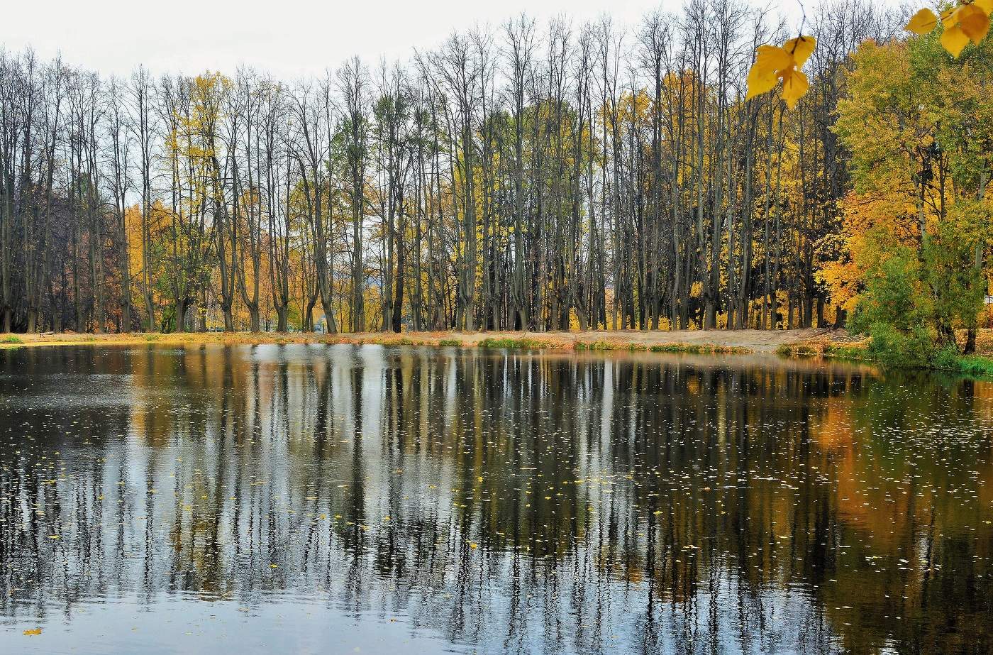 "Ты на грусть мою похожа, осень ..."