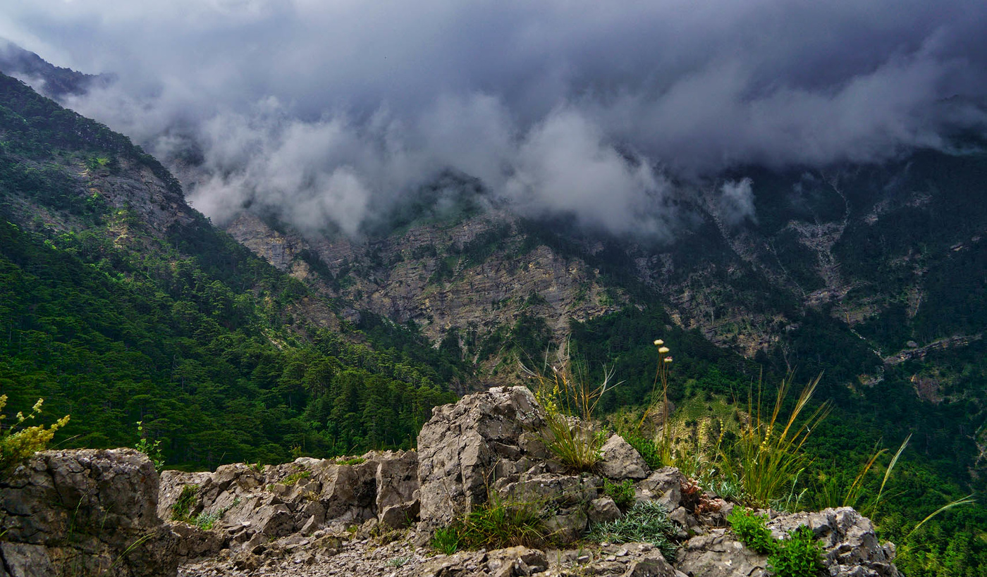 Горы туманные