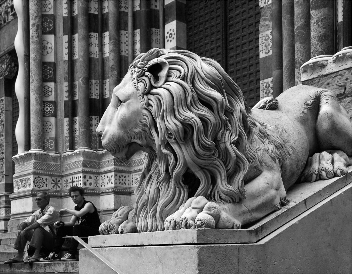 На страже Святого Грааля