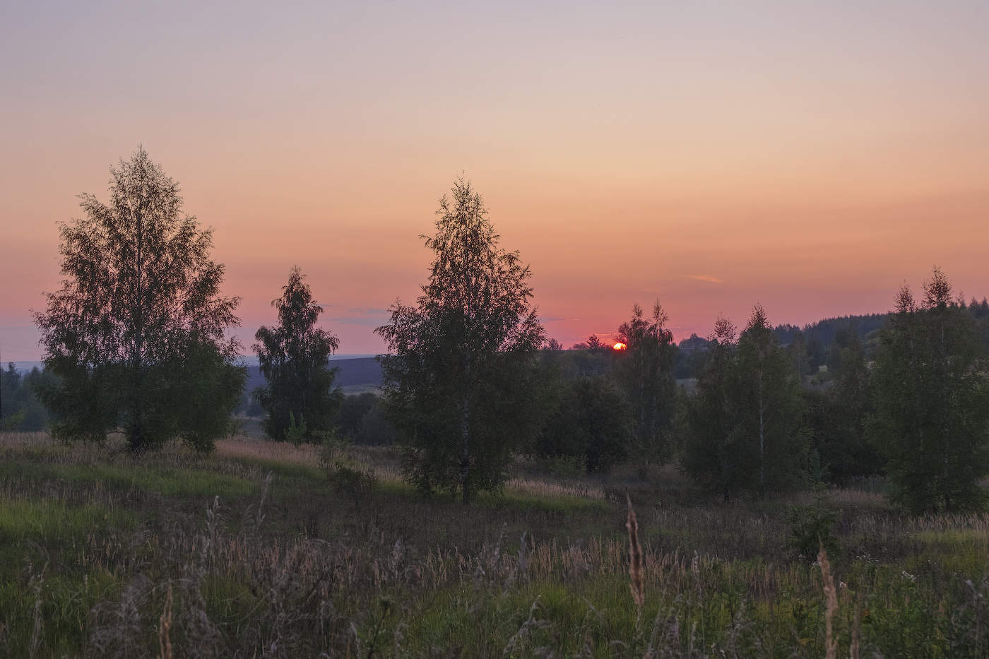 Село солнце за лесом