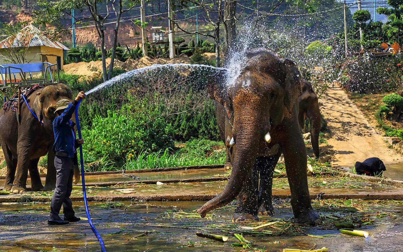 Большое и чистое