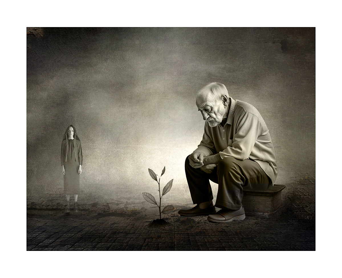 в ожидании урожая