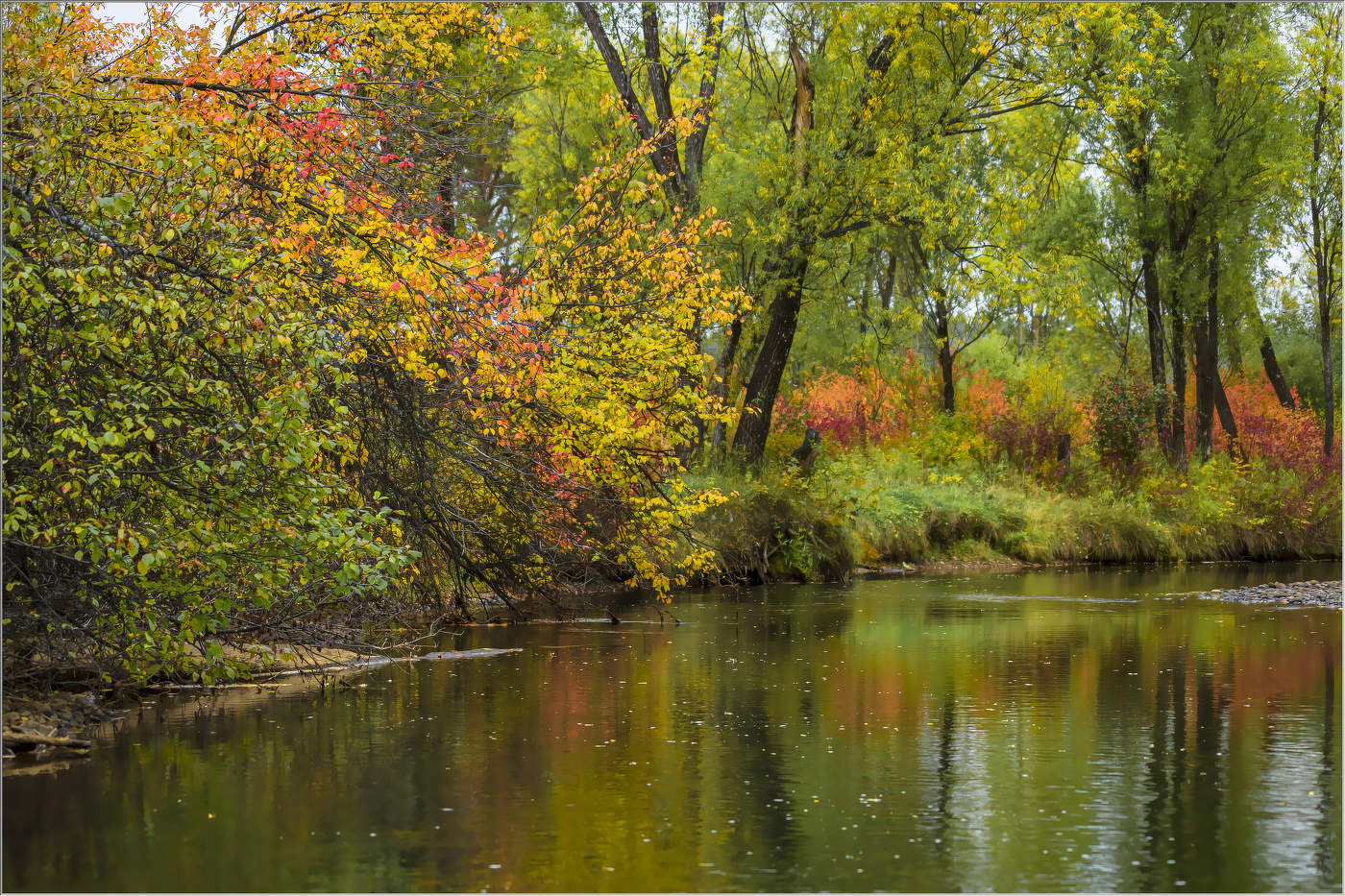 Осень заглянула
