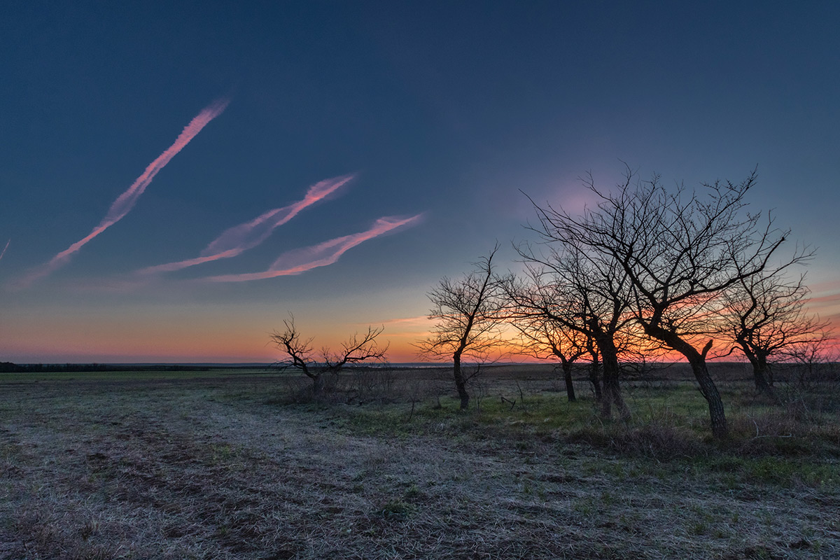 Рассветное