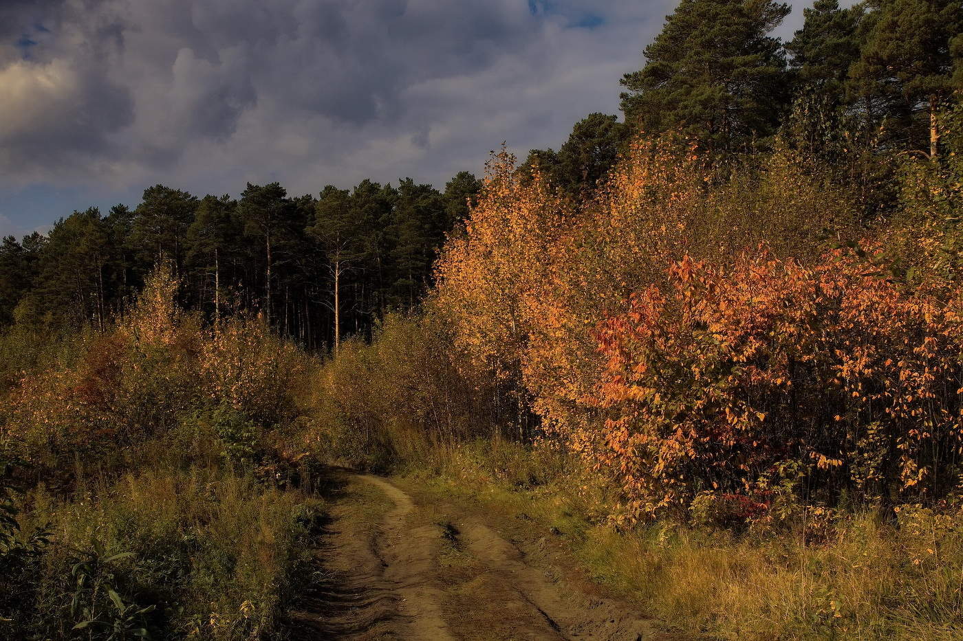 Осенним днём.