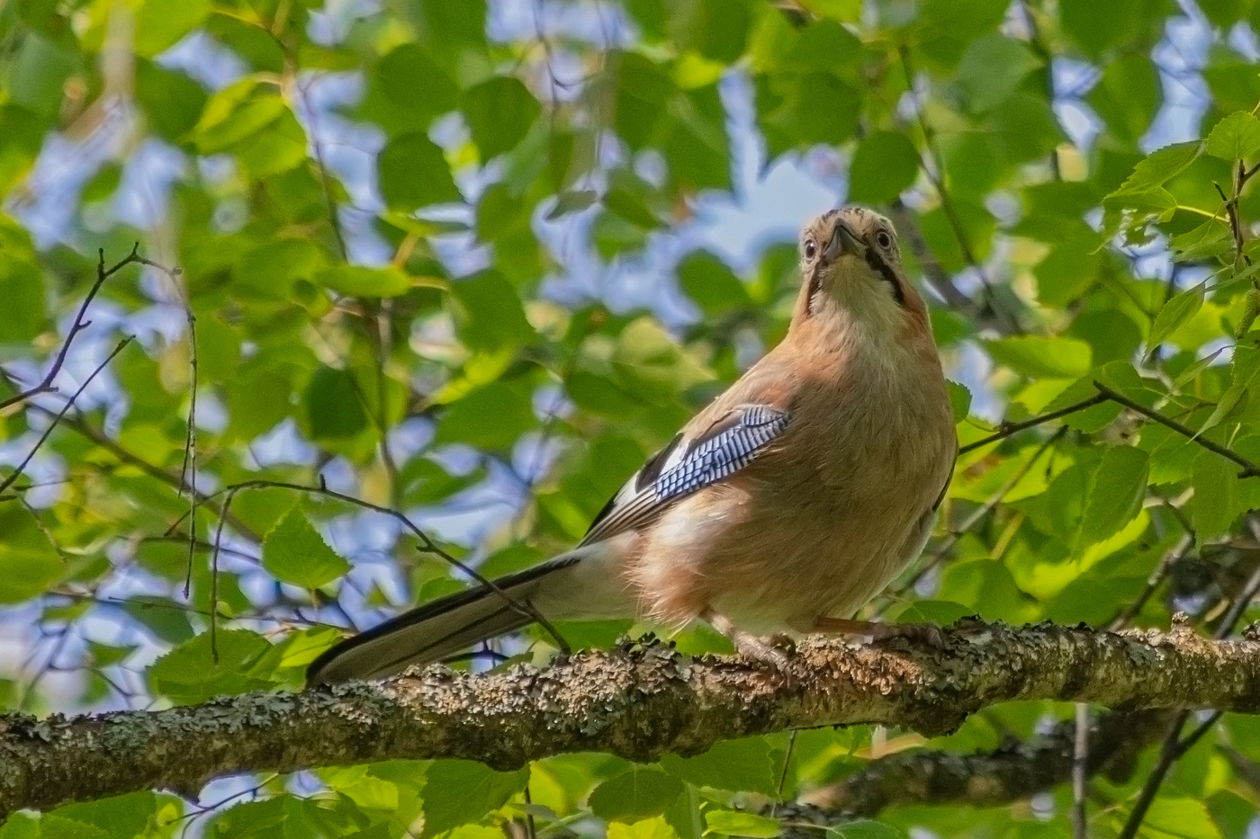 зоркий взгляд