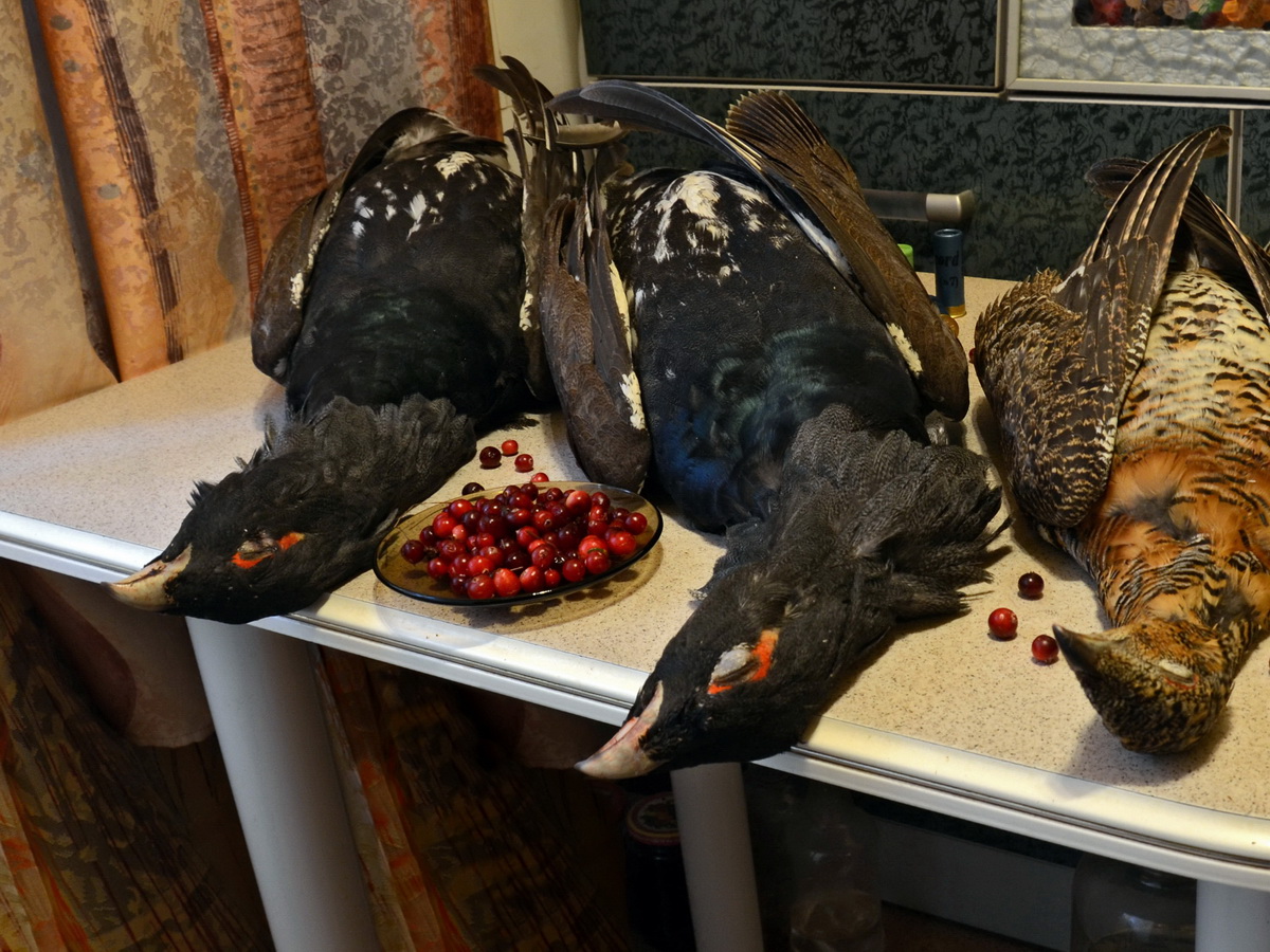 Натюрморт с клюквой